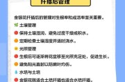 金银花的生长习性与冬季护理（寒冷天气下，你需要知道这些关于金银花的小知识！）