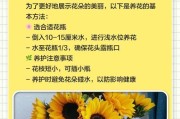 勿忘我花的养殖方法（轻松学会勿忘我花的养殖技巧）