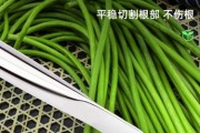 河南蒜苔收获时间及注意事项（了解河南蒜苔收获时间，获取丰收的秘诀）